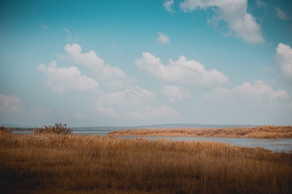 Open savanna grassland meeting a calm lake under a wide sky in Akagera National Park, eastern Rwanda.